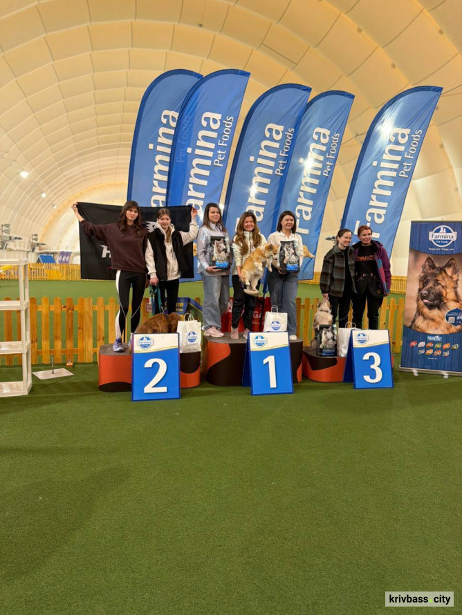 Чотирилапі чемпіони: попри труднощі з тренуваннями собаки з кінологічного загону "Антарєс" вибороли 10 медалей