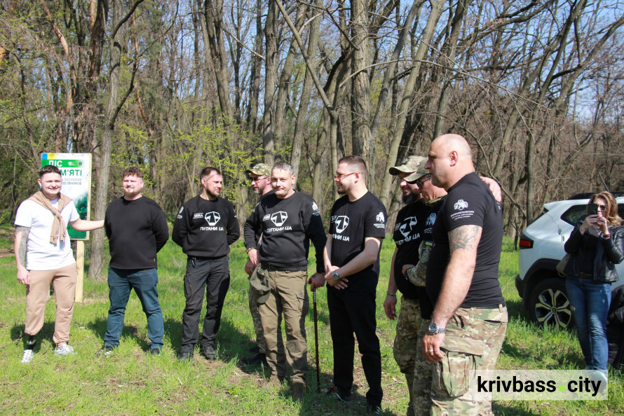 "Ліси пам'яті": ветерани спільноти ТитаниUA висадили тисячі дерев, вшановуючи загиблих оборонців