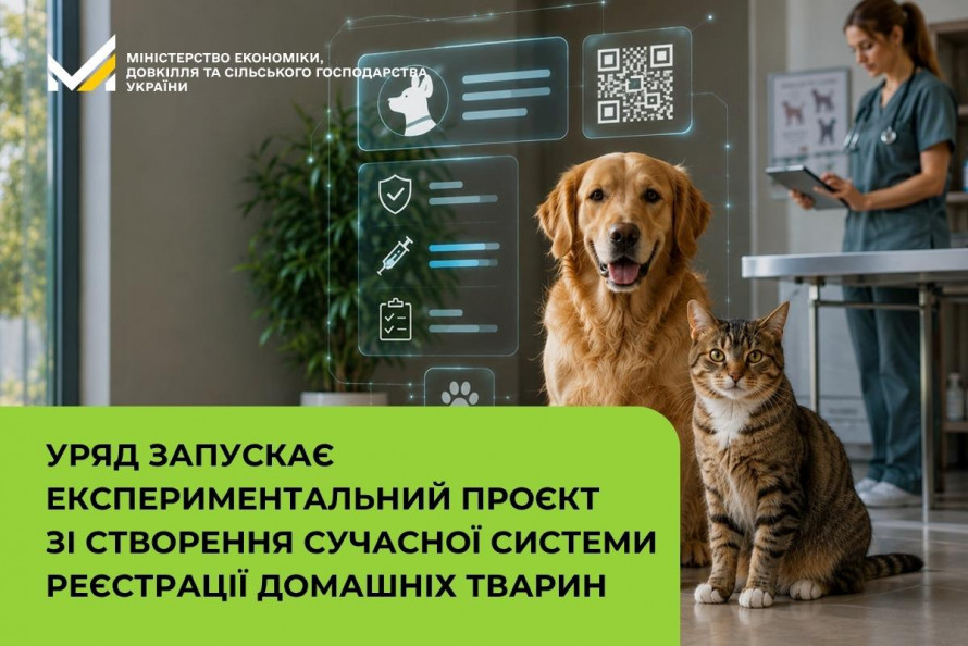 В Україні запускають Єдиний реєстр домашніх тварин: що потрібно знати криворіжцям