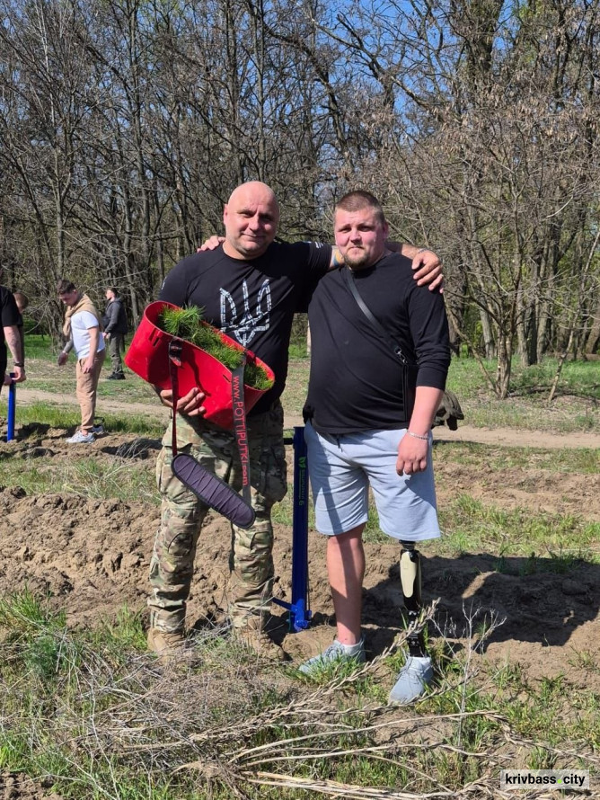 "Ліси пам'яті": ветерани спільноти ТитаниUA висадили тисячі дерев, вшановуючи загиблих оборонців