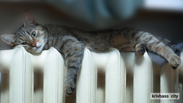 Фото krivbass.city