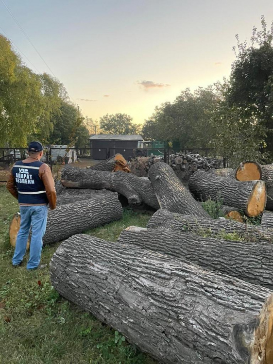 Нарізали дерев на мільйон гривень: на Дніпропетровщині затримали банду "чорних лісорубів" яка складалася з залізничників