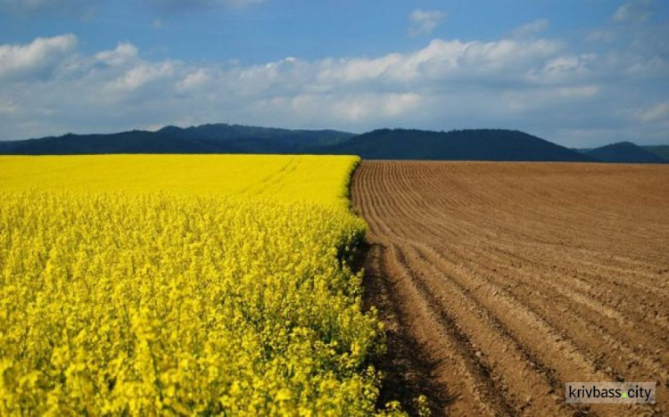 Президент Зеленский подписал закон о рынке сельскохозяйственных земель