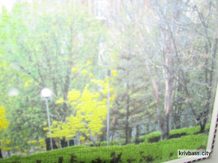 В Кривом Роге открылась выставка вышитых картин мастериц из разных регионов Украины (ФОТОРЕПОРТАЖ)