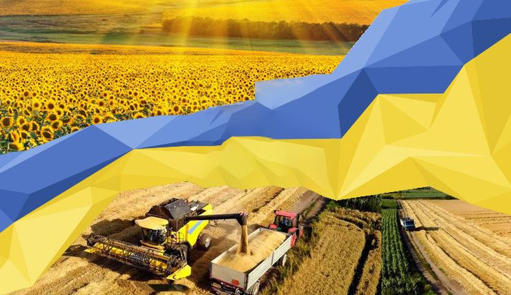 Врожай, фото з відкритих джерел