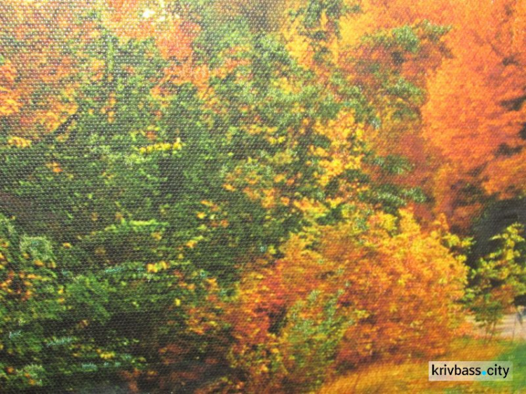 В Кривом Роге открылась выставка вышитых картин мастериц из разных регионов Украины (ФОТОРЕПОРТАЖ)