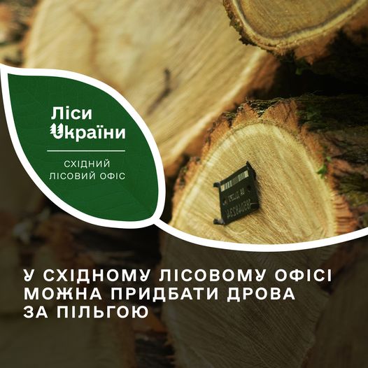 Фото Східного лісового офісу
