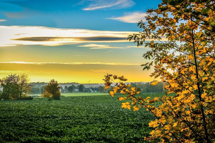 Погода на тиждень - фото ілюстративне з відкритих джерел  