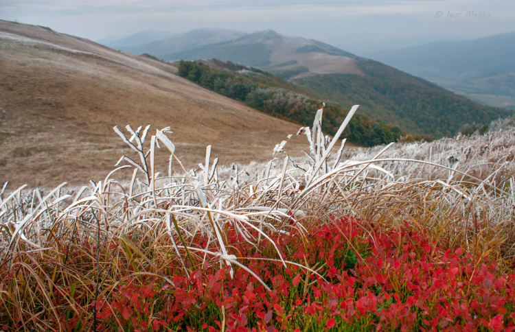 Погода на тиждень - фото ілюстративне з відкритих джерел  