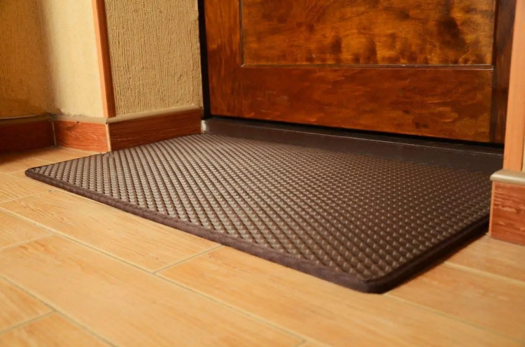 Який килимок біля дверей притягує гроші та достаток - фото з відкритих джерел