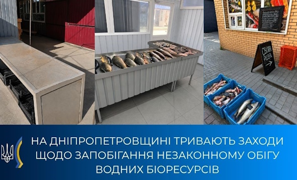 На Дніпропетровщині перевіряють місця продажу риби та раків: подробиці