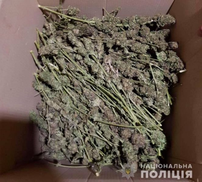 В Кривом Роге выявили "цех" и изъяли 23 килограмма марихуаны (фото) 