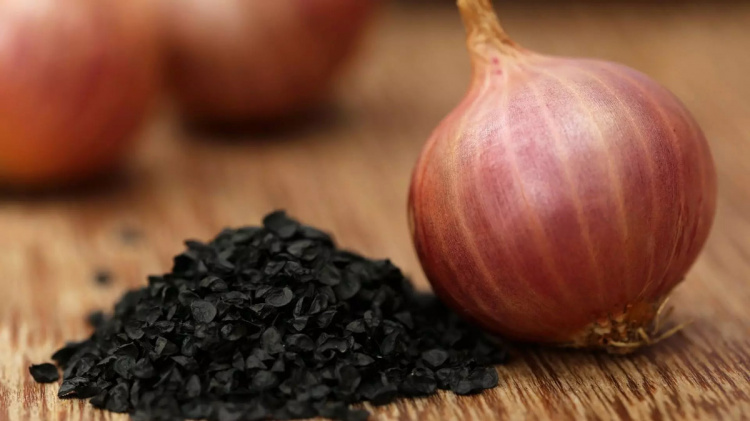 Як отримати міцний сівок: терміни та лайфхаки посадки - фото з відкритих джерел