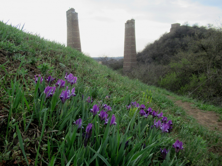Балка Північна Червона