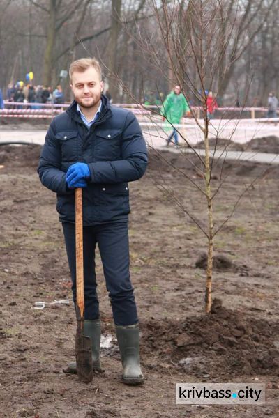 Криворожане высадили более 300 деревьев в Гданцевском парке