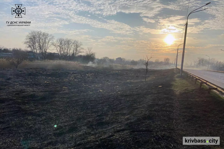 Горить і палає: за добу вогнеборці ліквідували 48 пожеж в екосистемах Дніпропетровщини