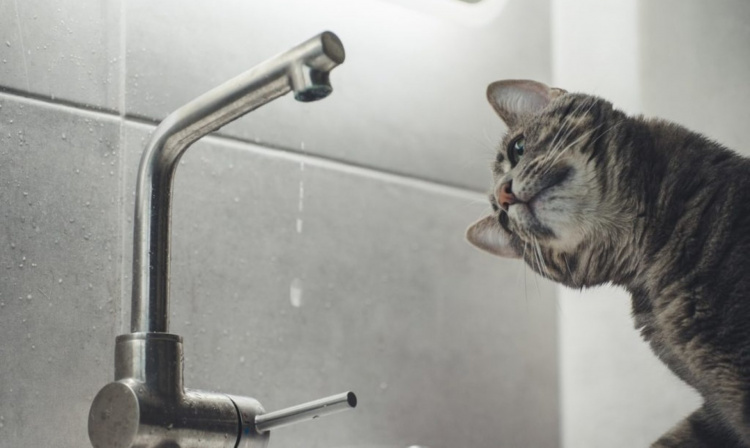 Як діяти в умовах призупинення питного водопостачання: рекомендації для мешканців Дніпропетровщини