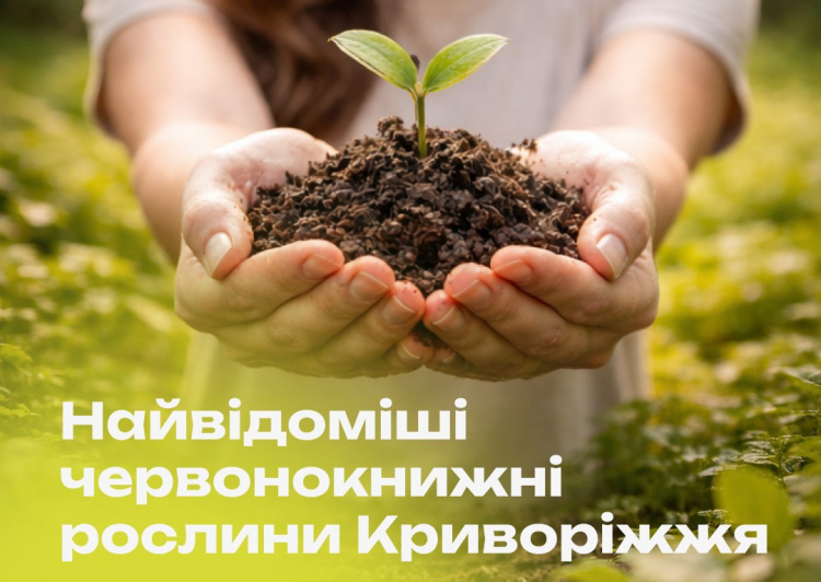 Червонокнижі рослини Криворіжжя - фото Інститут розвитку міста Кривого Рогу