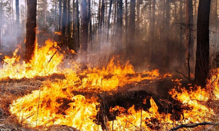Обережно! Вогонь: мешканців Дніпропетровщини попереджають про пожежну небезпеку