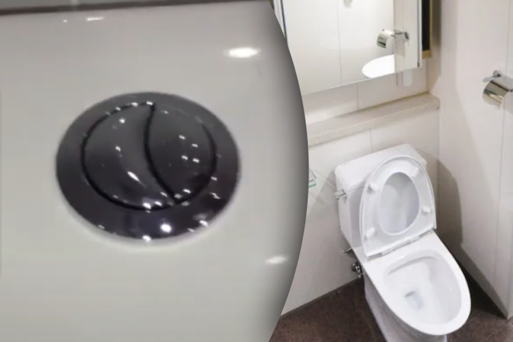 Як подвійна кнопка на унітазі допомагає і гаманцю, і планеті - фото з відкритих джерел