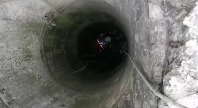 Спасатели пришли на помощь: в Криворожском районе щенок оказался на глубине 10-метрового колодца (фото)