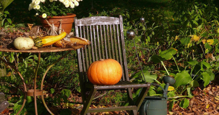 Посіви та підготовка ґрунту: поради садівникам на жовтень - фото з відкритих джерел