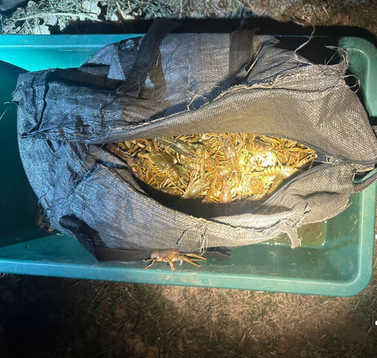 Фото Дніпропетровський рибоохоронний патруль