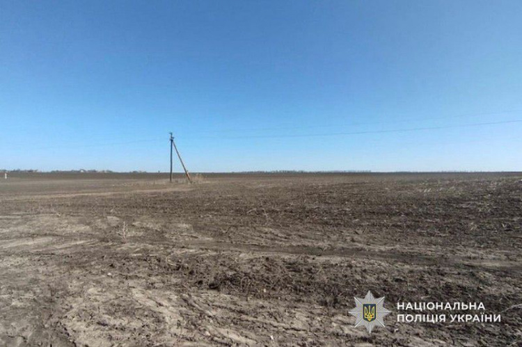 Сотні гектарів «зникли» з декларації: на Криворіжжі судитимуть депутата за недостовірну інформацію