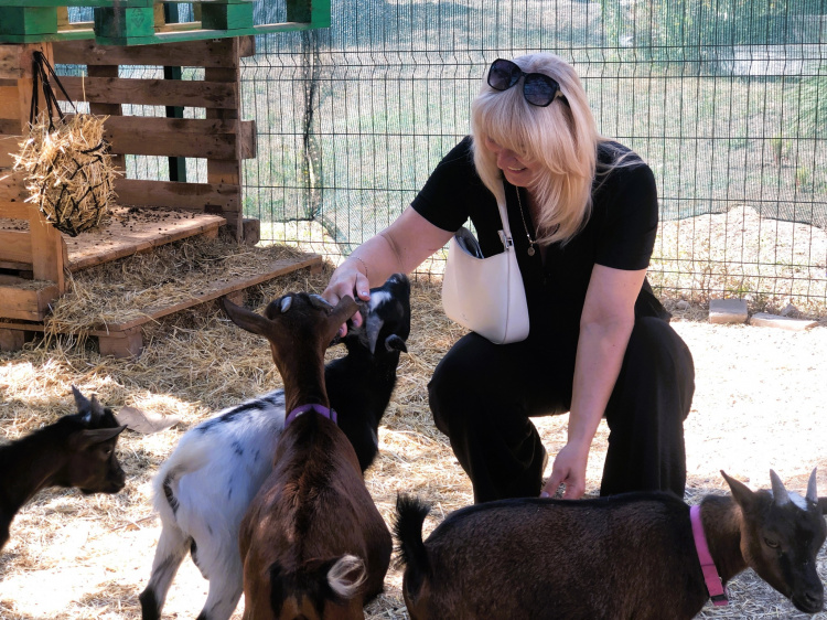 Кафе з козами, фото Державної служби зайнятості 
