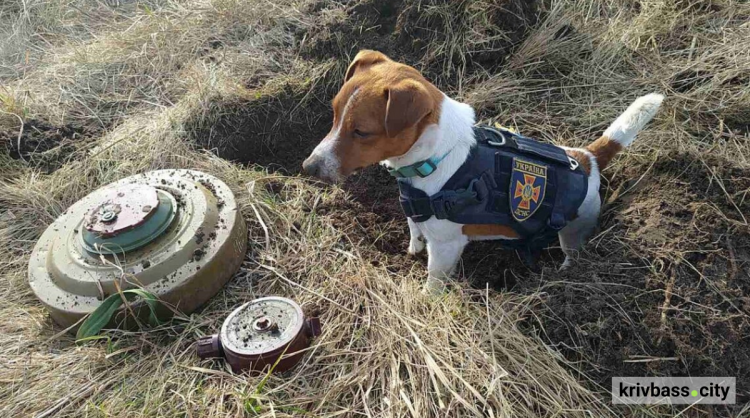 фото Гончаренко Центру