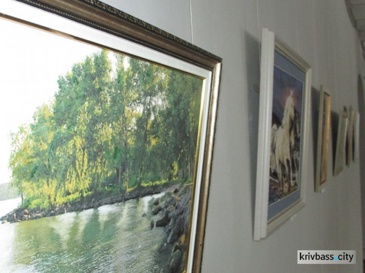 В Кривом Роге открылась выставка вышитых картин мастериц из разных регионов Украины (ФОТОРЕПОРТАЖ)