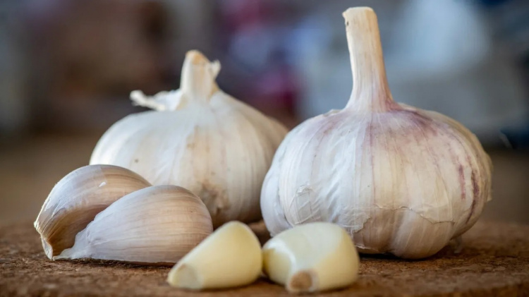 Як виростити великий часник: правильна посадка крок за кроком