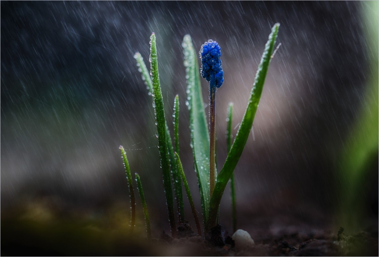 День сили: як використати енергію весняного рівнодення - фото з відкритих джерел