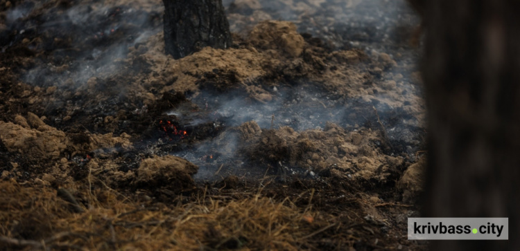 фото пресслужби Дніпропетровської ОВА