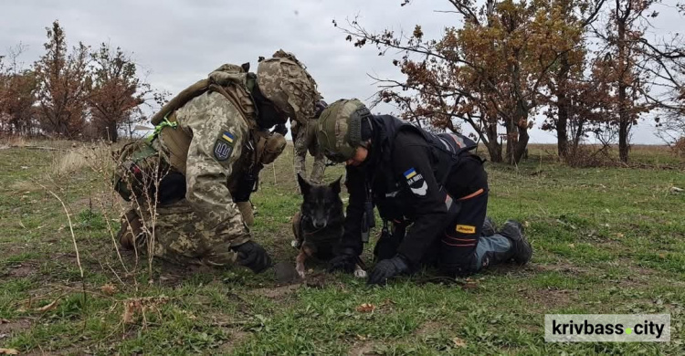 Фото Павлоградського пошуково-рятувального кінологічного загону «Антарєс»