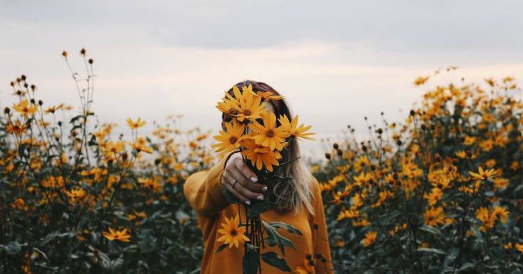 Жовтий не означає прощання: вся правда про символіку квітів - фото з відкритих джерел