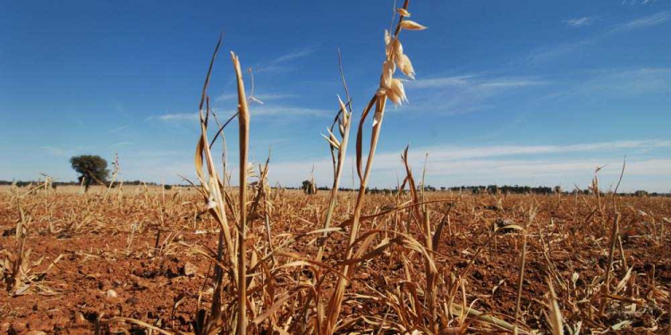 фото з відкритих джерел 