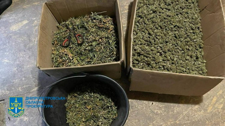 Травичка з доставкою: на Дніпропетровщині вилучили наркотики на 10 мільйонів гривень
