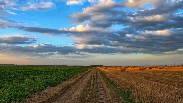 Фото з відкритих джерел      