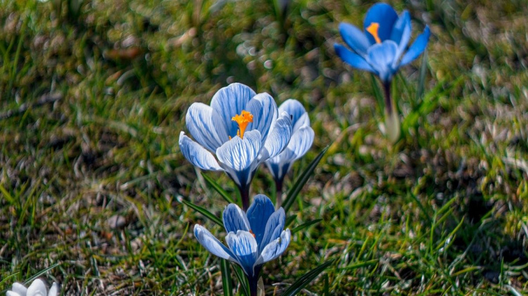 Весна з характером: прогноз погоди в Україні на найближчий тиждень - фото з відкритих джерел