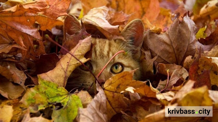 Хто святкуватиме іменини 14 листопада на Филипа: цей день в календарі та в історії