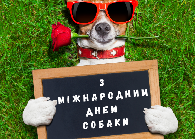 Не просто домашній улюбленець: чому у світі відзначають День собаки - фото з відкритих джерел