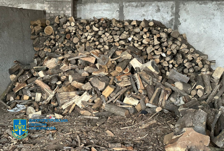 На Дніпропетровщині судитимуть 12 чорних лісорубів - фото Дніпропетровська обласна прокуратура