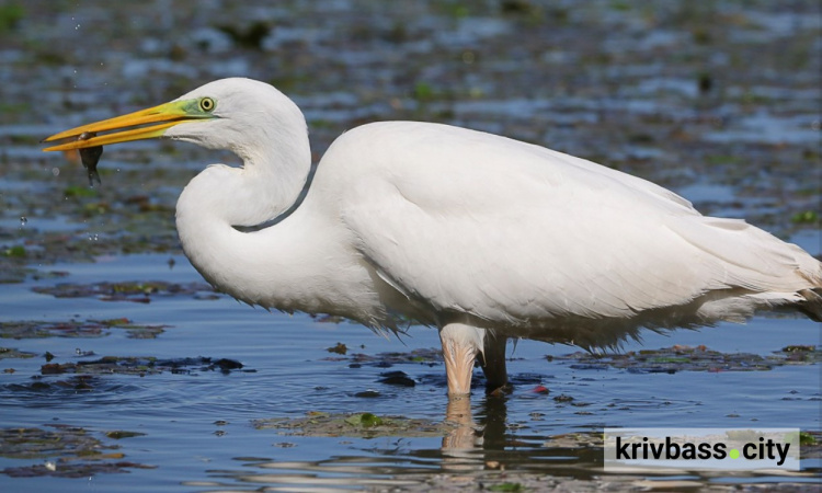 Фото Юрія Мухіна