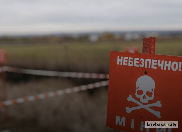 Розмінування полей, фото з відкритих джерел