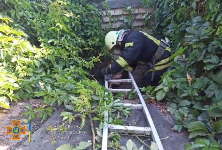 Фото пресслужби ДСНС Дніпропетровської області