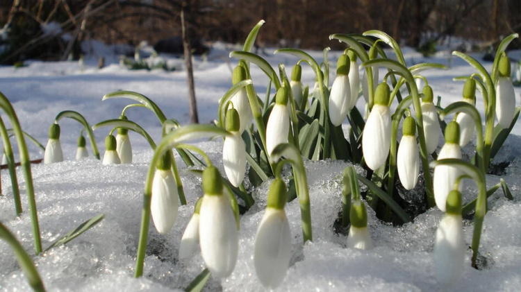Сухо, ясно і слизько: детальний прогноз погоди по регіонах - фото з відкритих джерел