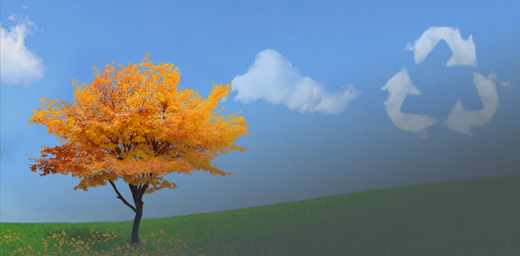 Криворізька громада стала одним із лідерів області за кількома екологічними показниками: подробиці