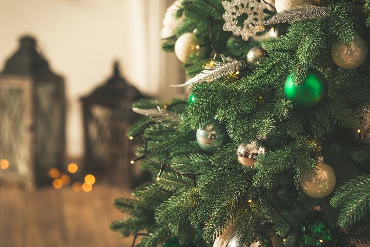 Новорічна ялинка без відходів: практичні та екологічні рішення - фото з відкритих джерел
