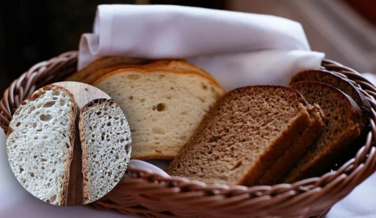 Чому твій хліб пліснявіє і як це зупинити раз і назавжди - фото з відкритих джерел